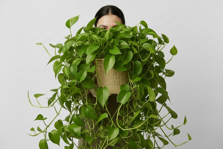 one gallon plant warrior pot