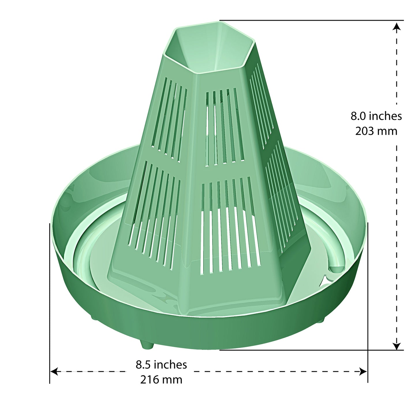 Large. Sold in Sets.